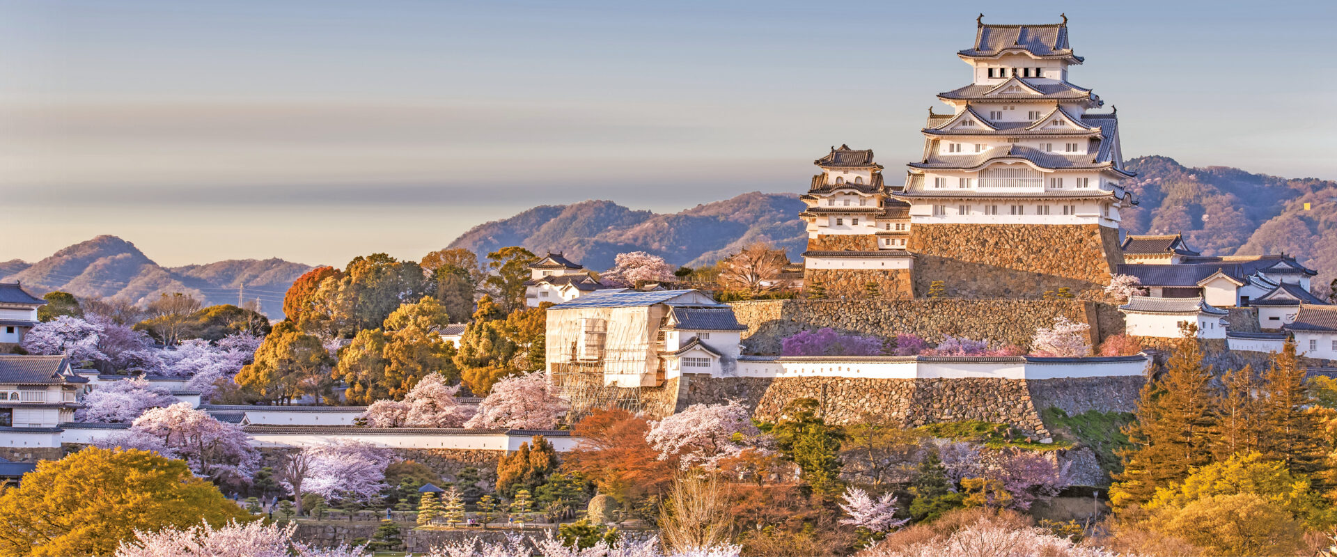 Japan-1-scaled.jpg